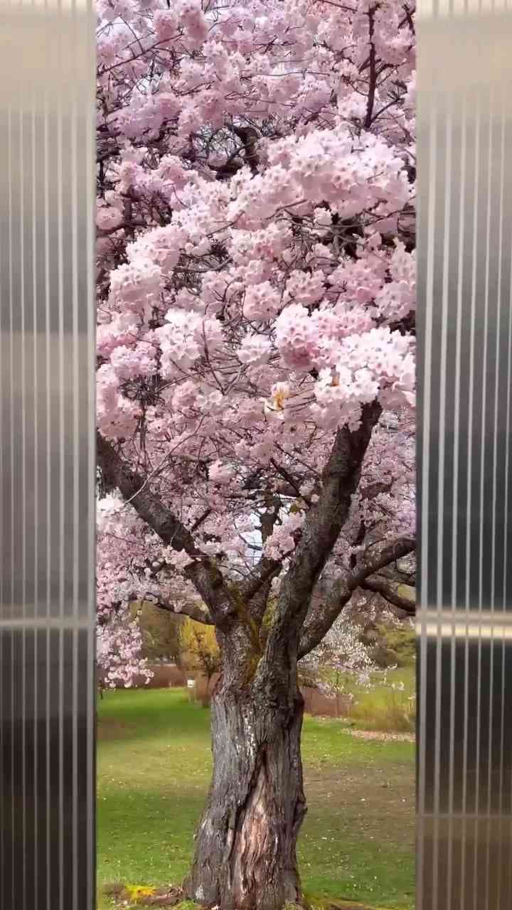 Going up? Mix this template to create your own #elevator #reveal