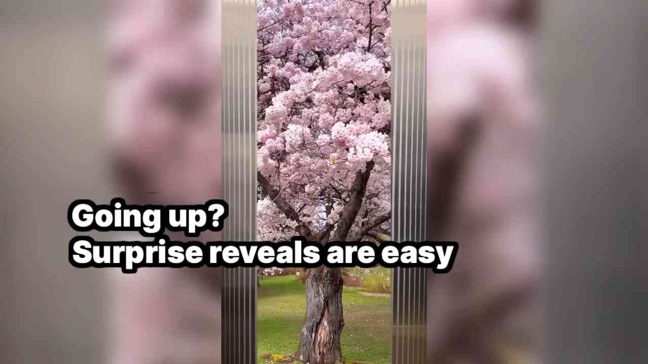 Learn how to create an #elevator #reveal with this quick #tutorial
